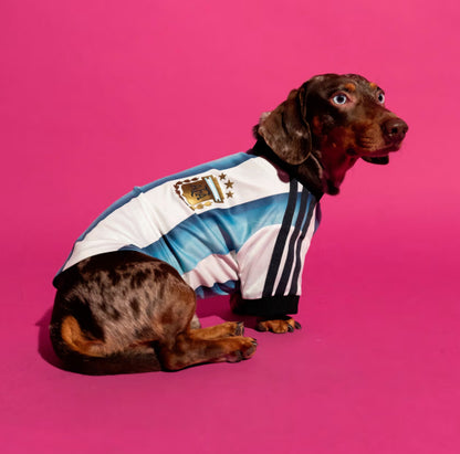 Pet Jersey world cup