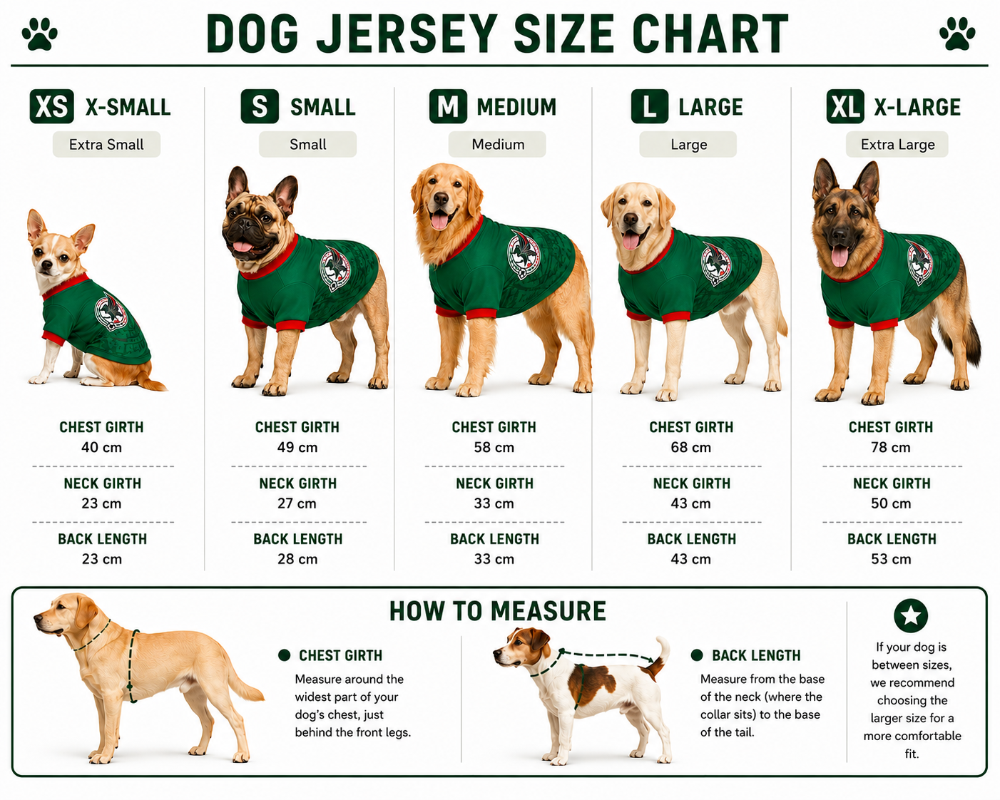 Pet Jersey world cup