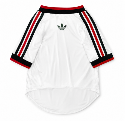 Pet Jersey world cup