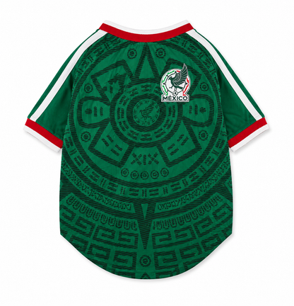 Pet Jersey world cup