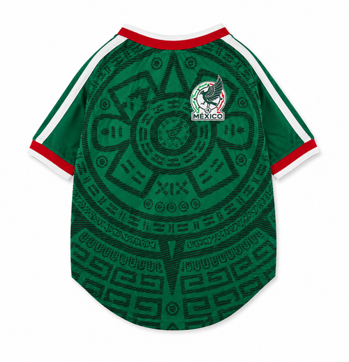 Pet Jersey world cup