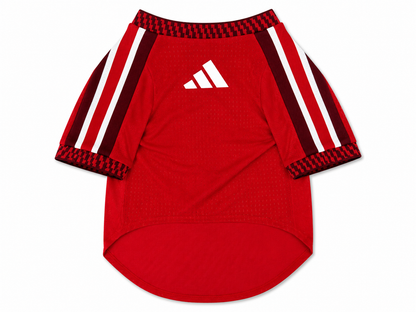 Pet Jersey world cup