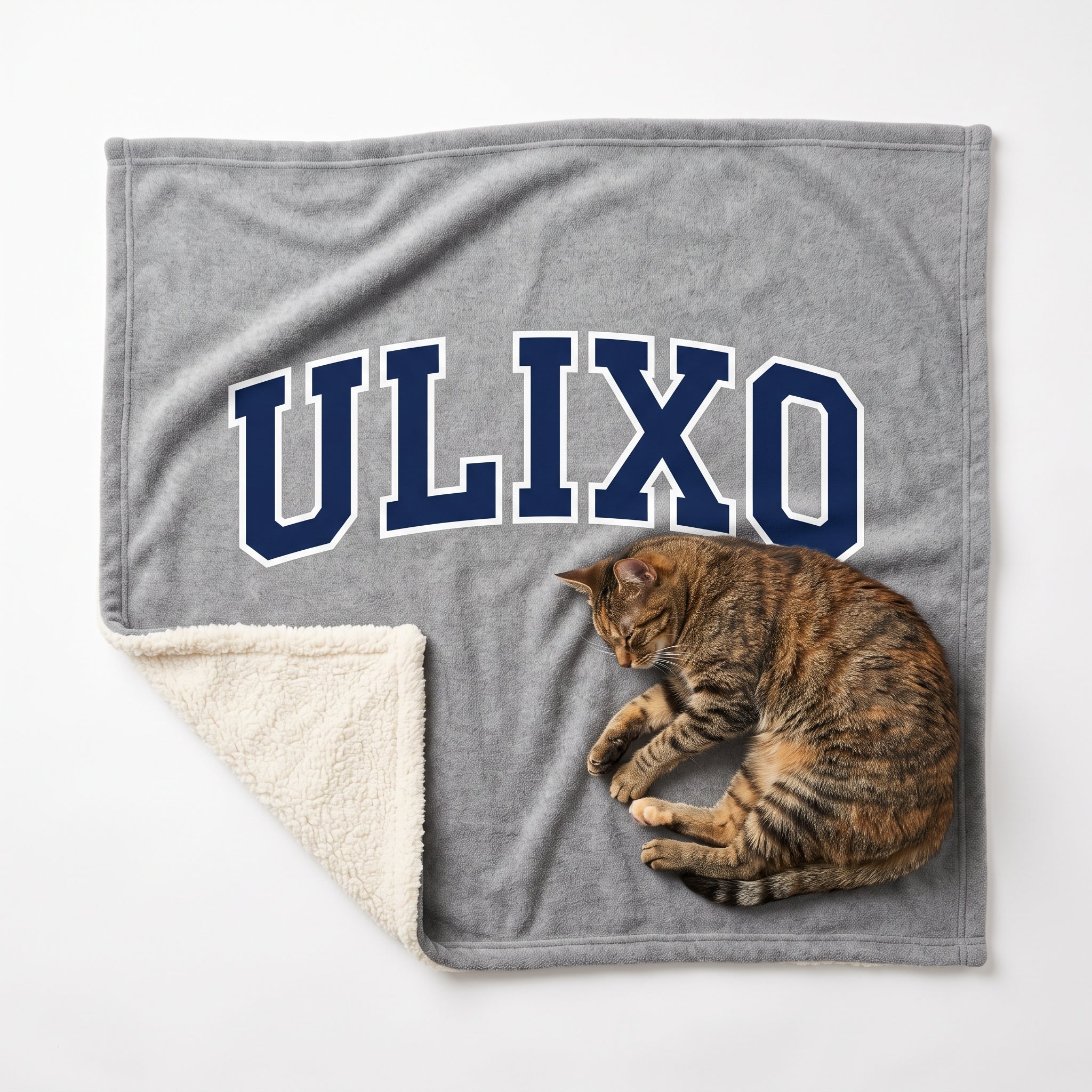Cat on the Exclusive Ulixo VIP Pet Blanket, heather grey with ULIXO varsity print and sherpa back