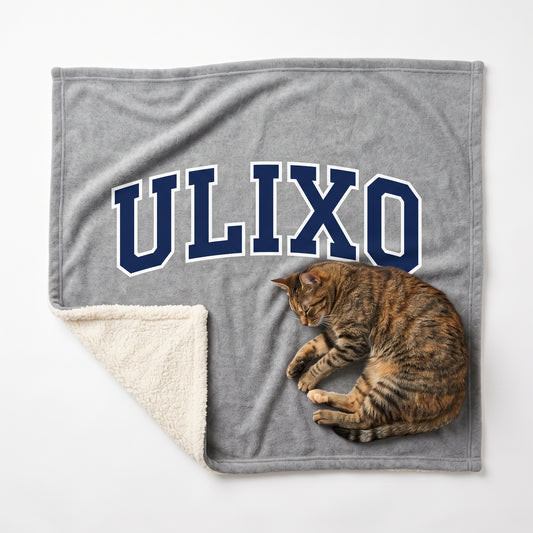 Cat on the Exclusive Ulixo VIP Pet Blanket, heather grey with ULIXO varsity print and sherpa back
